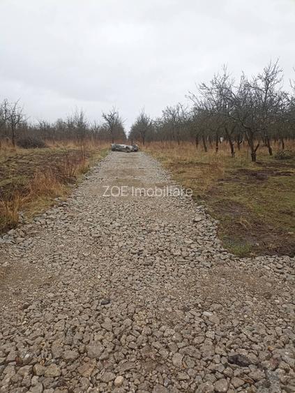 De vânzare terenuri intravilane - 7