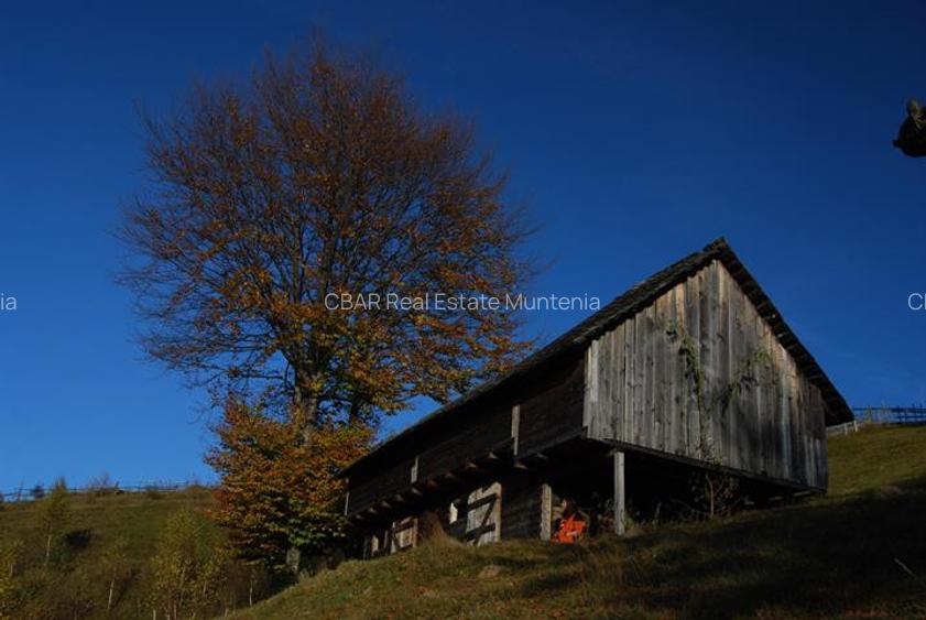 Vand teren Arges in  Dambovicioara 12 150 mp vedere Piatra Craiului - 3