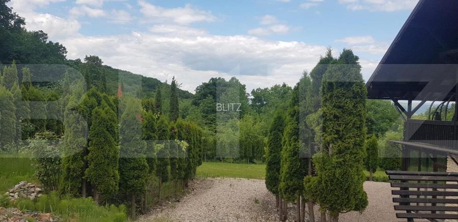 Investitie ! Casa de vacanta 350 mp utili ,teren 3000 mp in Faget ! - 12