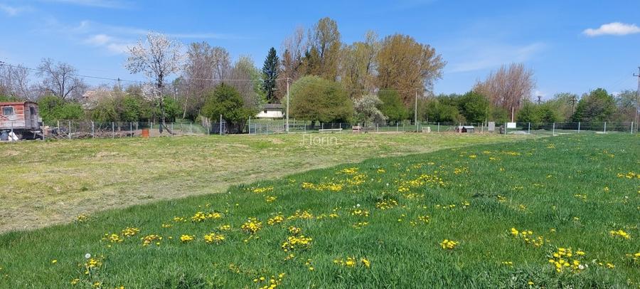 Teren Campina varful Muscel - 3