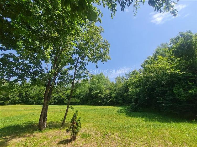 Refugiu idilic cu oglinda de apa, panorama montana, Glajerie/Rasnov, ideal mini - 6