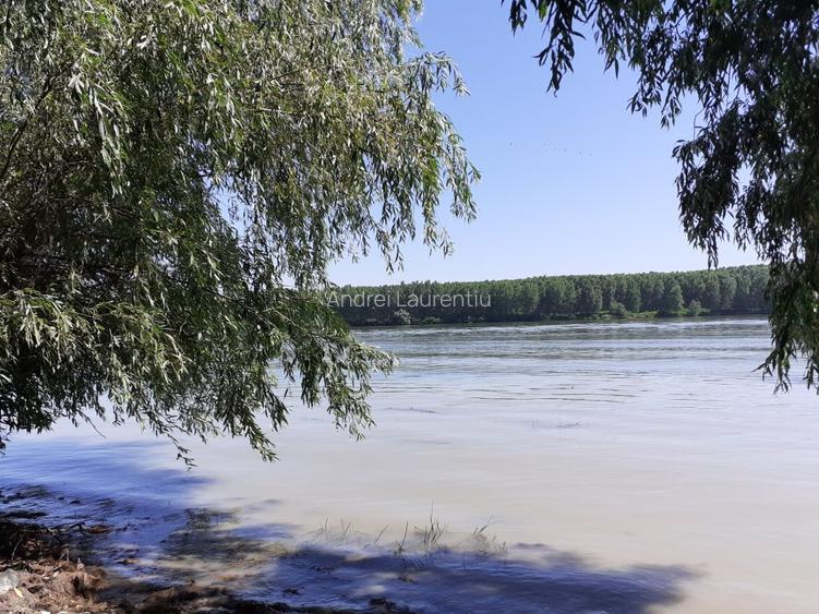 OCAZIE; teren MAHMUDIA 12euro/m.p. Suprafata 5000 m.p. Deschidere la Dunare 48m - 2