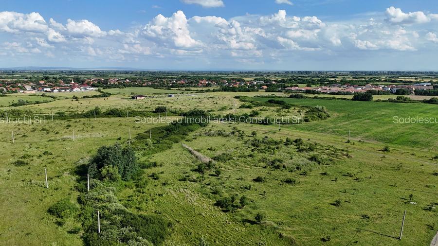 Terenuri zona  MOSNITA NOUA -  ALBINA . - 28