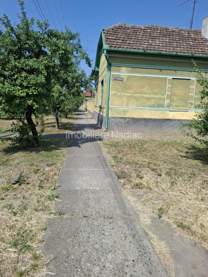CASĂ MARE în Nădlac cu teren generos 2095mp - 10