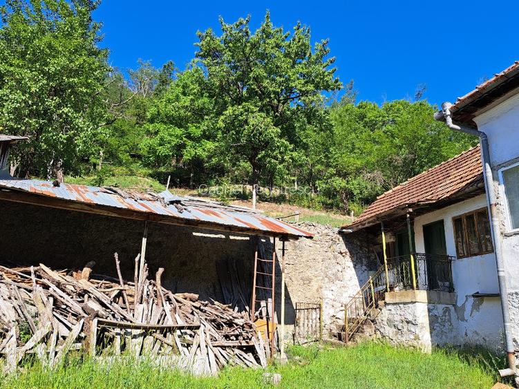 Casa batraneasca de vanzare - 2