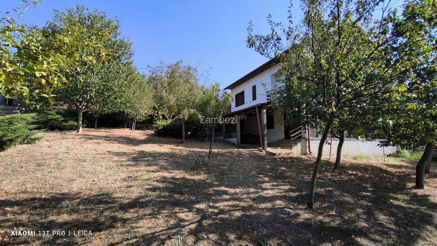 Afacerea Ideala- Vila cu deschidere la Dunare 50 ml cu Ponton amenajat, ESELNIT - 7