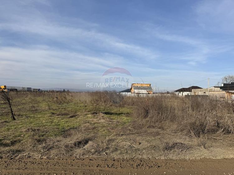 Teren intravilan 7478 mp Bucov, parcelabil, ideal investiție - 3