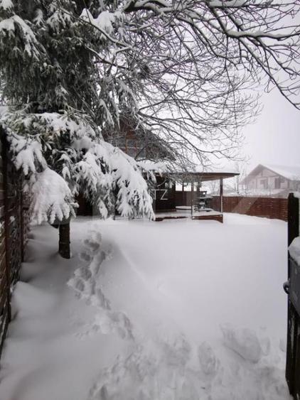 Cabana cocheta din lemn in Belis – 3 camere, ideala pentru vacanta sau investiti - 11