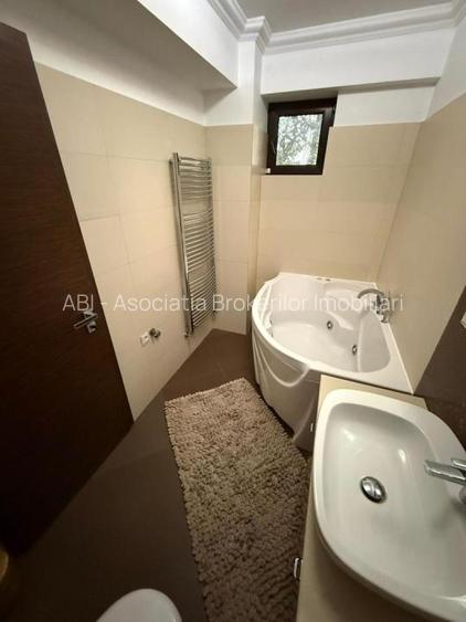 Herastrau Kiseleff Ap 3 cam deosebit - 14