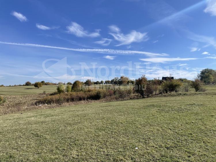 Teren Intravilan 842 mp – Rasinari, Sibiu - 4