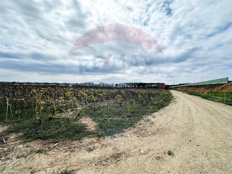 Teren 14.863mp, deschidere 42mp, acces 3 laturi - Ciorogarla, langa A0 - 9