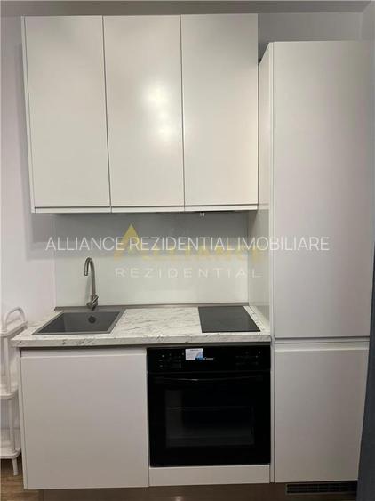 BIRUINTEI - De inchiriat garsoniera cu gradina - 2