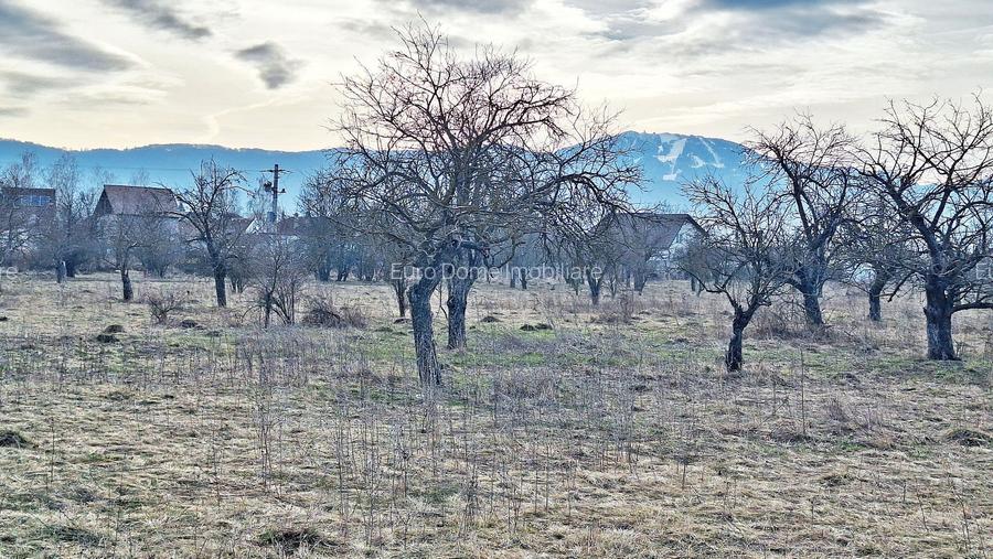 Teren intravilan pentru Investitie!!!,933mp in Ghimbav, 50 euro/mp neg. - 14