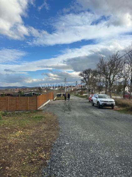 TEREN INTRAVILAN PREMIUM 2.000 MP LA DRUM JUDETEAN | DAIA - 6