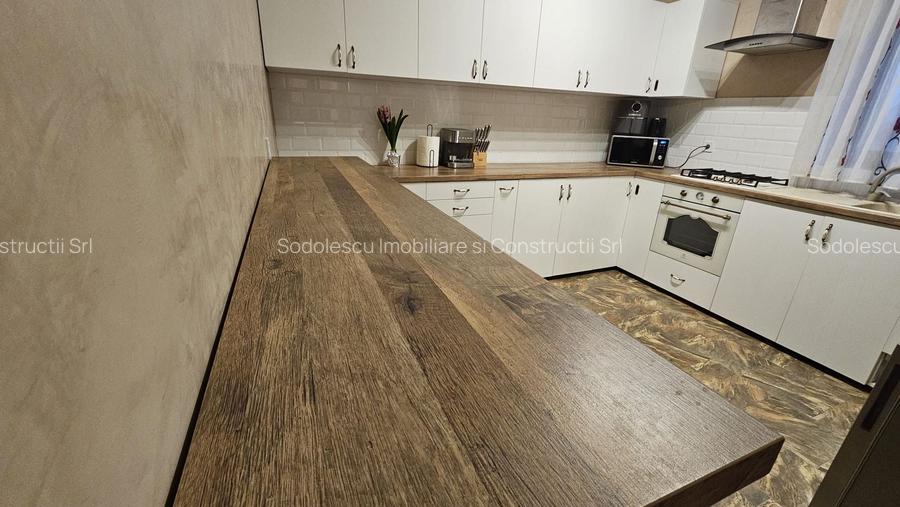 Vila individuala la 30 km de Timișoara - 7