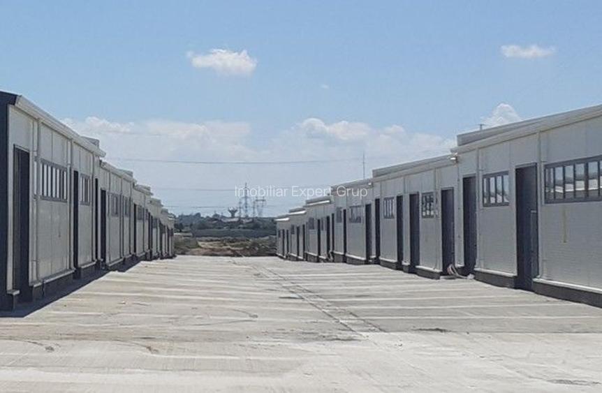 Hale cu suprafete intre 100-300mp in zona Drumul Intre Tarlale - 9