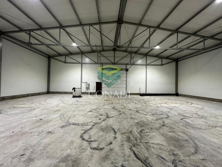 Inchiriere Hala de Depozitare | Oxigenului | Cernica | Pantelimon - 3