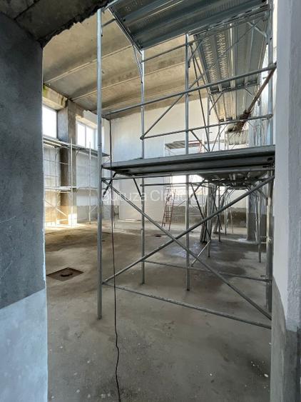 Platformă industrială flexibilă – 15.576 mp – oportunitate build-to-suit – Timiș - 6