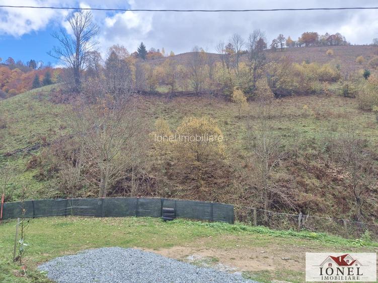 Casa de vanzare in Bistra -1700 mp teren - 9