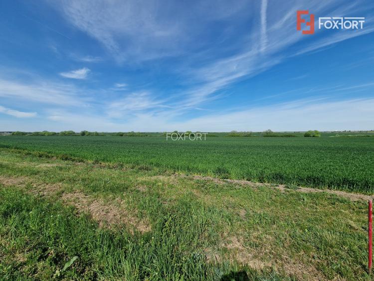Teren extravilan de 9500 mp de vanzare in Remetea Mare - 3