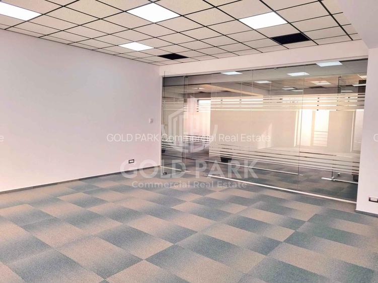 Spatiu de Birouri-Zona Traian Vuia-Parcare/Suprafete de la 50-160 mp - 10