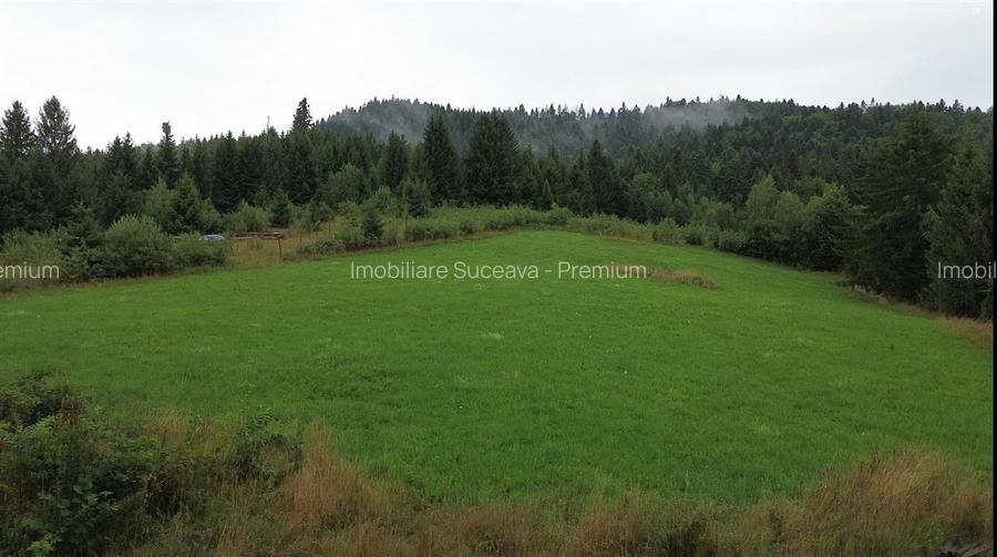 Teren 5023 mp  In Bucovina Zona Manastirea Voronet De Vanzare 0727817187 - 10