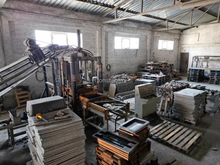 AFACERE LA CHEIE – PRODUCȚIE BETON & PAVAJE – BRĂILA - 9