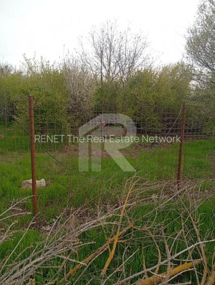 Teren intravilan mixt Buftea – spre Corbeanca | 1.250 mp | Ideal investiție - 4