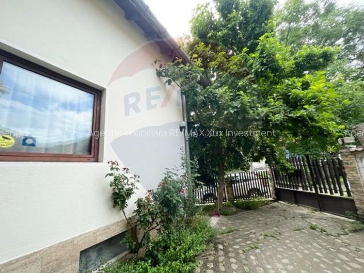 Vila  de vacanta Sibiel - 13