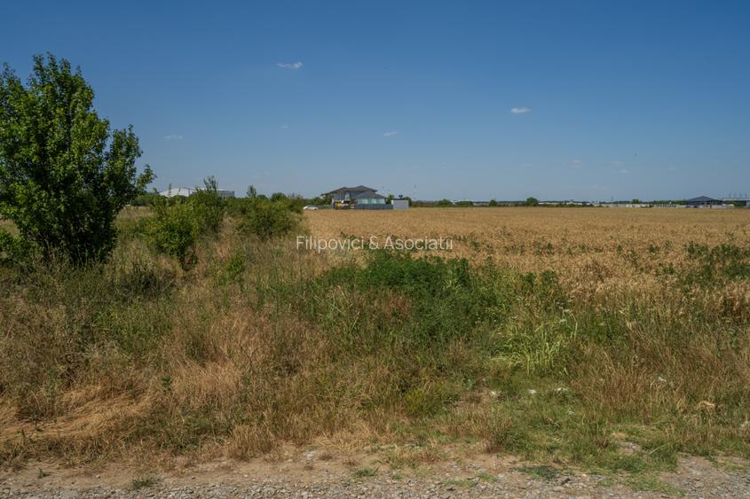 OTOPENI - CARPATILOR, TEREN 1371 MP! - 6