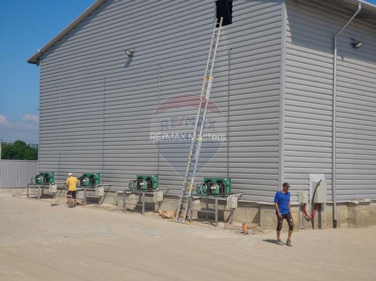 Depozit frigorific de 216 mp cu 4 celule, Scheia, Suceava - 12