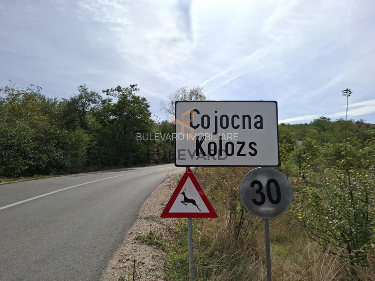 Comision 0. Teren intravilan in Cojocna! - 12
