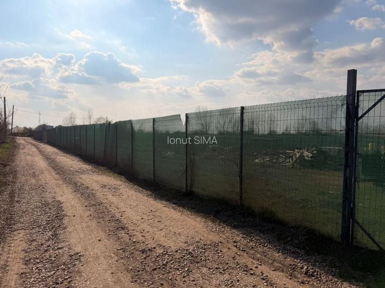 Teren 2117 mp Clinceni Bragadiru – lângă A0 – împrejmuit, utilități + container - 10
