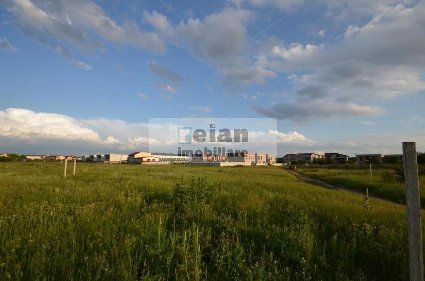 Voluntari - Matei Millo Teren 481 Mp Utili, Deschidere 20 Ml