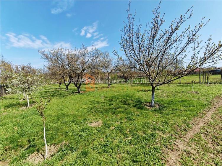 Casa tip parter zona Candesti - 14