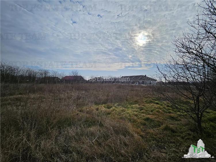 Teren intravilan Harsova - 5