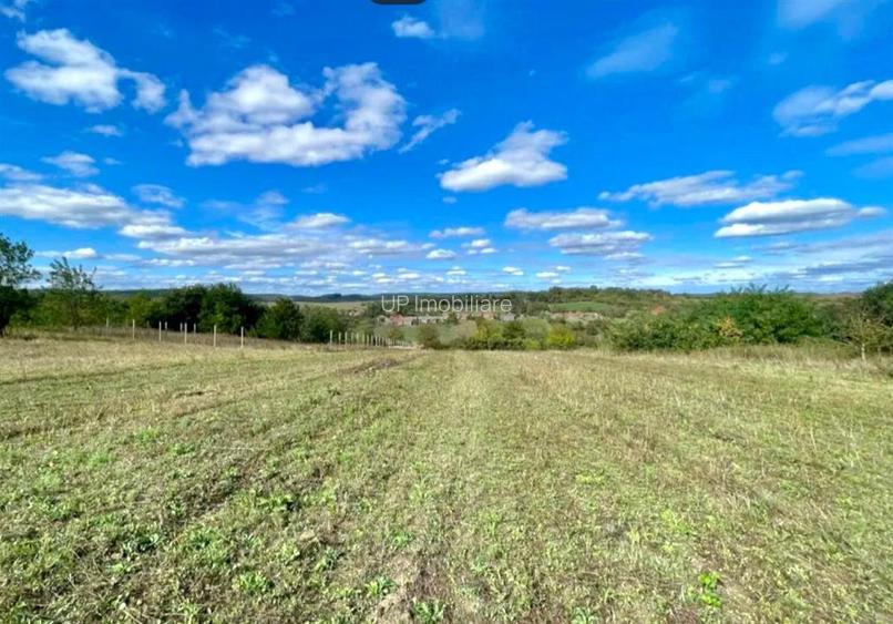 TEREN INTRAVILAN 5.995 MP | COMUNA SUMUGIU | BIHOR - 3