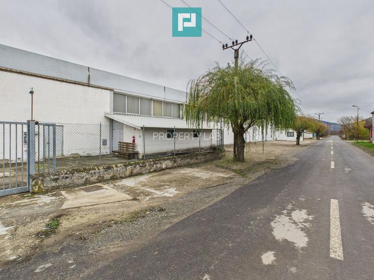 Hală cu teren intravilan de 3500 mp, în Sebiș Arad - 7