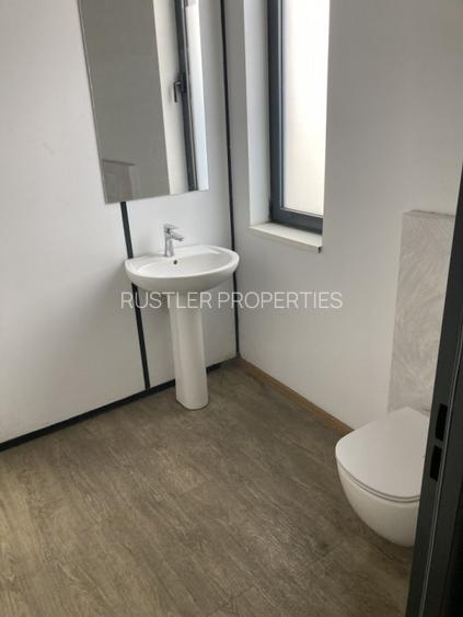 Hala de inchiriat Bucuresti-Popesti Leordeni - 13