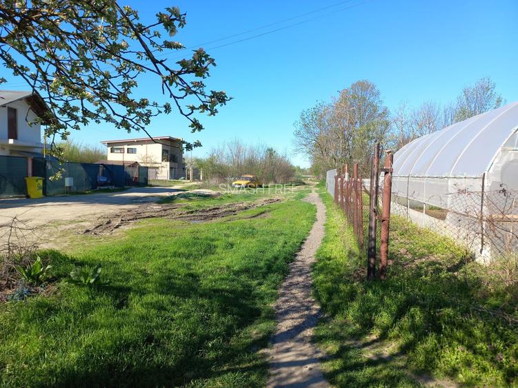 Teren intravilan 2927 mp - com. Domnesti sat Teghes - 5