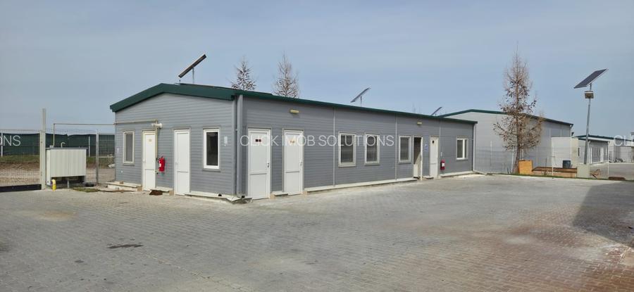 Ferma pasari- curci - 8