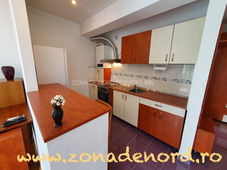 Bucureștii-Noi – Dămăroaia | Metrou Parc Bazilescu | Centrală | Parcare proprie - 9