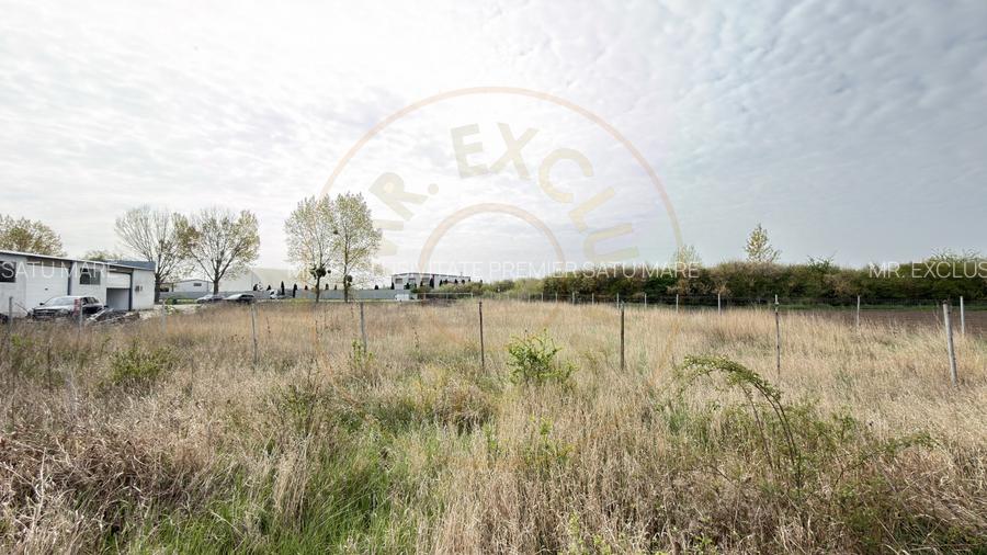 Teren Intravilan 1300 mp / Extravilan 3.700 mp/ DJ 196B Carei (DN 1F) – Foieni - 6