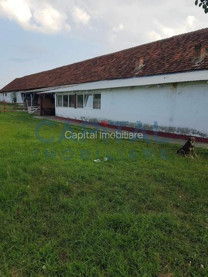 Ferma langa Oravita 5600 mp construiti si teren 24281 intravilan - 5