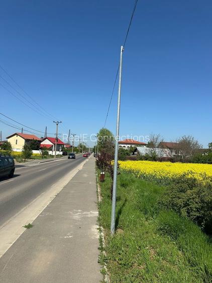 Teren intravilan 26.300 mp Saftica Balotesti - PUZ în lucru - 18
