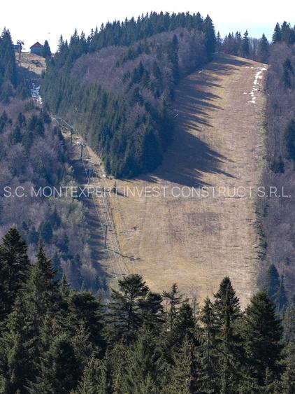 Vilă de vânzare în Predeal lângă pârtie, cu vedere deosebită și teren în pădure! - 5