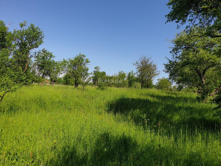 Parcele de 1000mp cu PUZ in curs de constituire Padureni COMISION 0% - 6