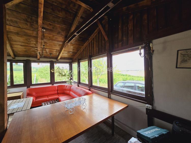 Vie Tradițională „Halta Lupilor” - 8