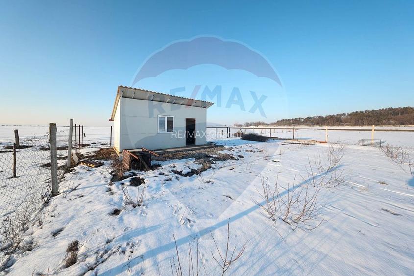 PLANTATIE ARONIA- TEREN AGRICOL - 9