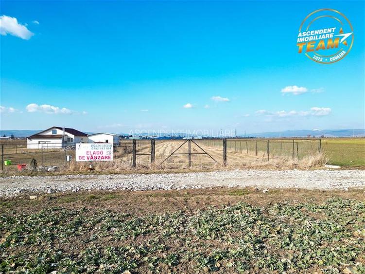 Liniste si aer curat in proximitatea Municipiului Sfantu Gheorghe - 14